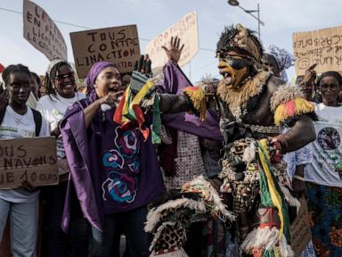 Mystical beliefs fuel Senegal’s illegal big cat trade and threaten lion’s survival